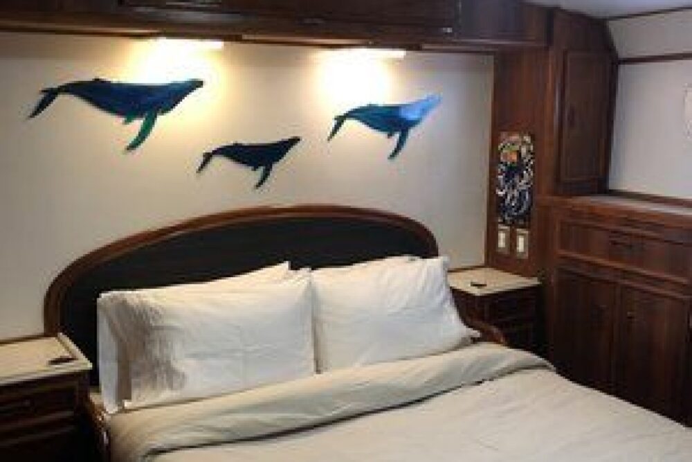ALASKA ADVENTURE - Imagen 2