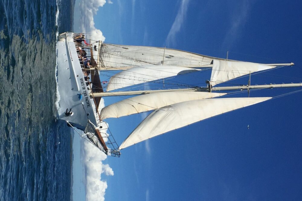 CRUISE THE FIJI ISLANDS BY TALL SHIP - Image 2