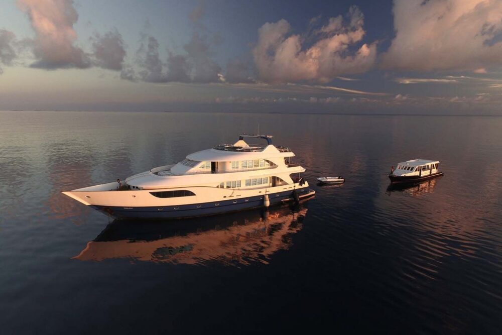 The Best of Maldives Cruise Adventure - Imagen 13