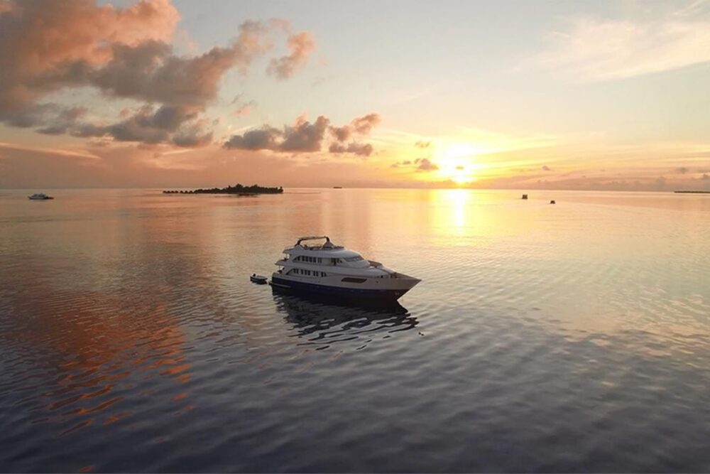 The Best of Maldives Cruise Adventure - Imagen 10