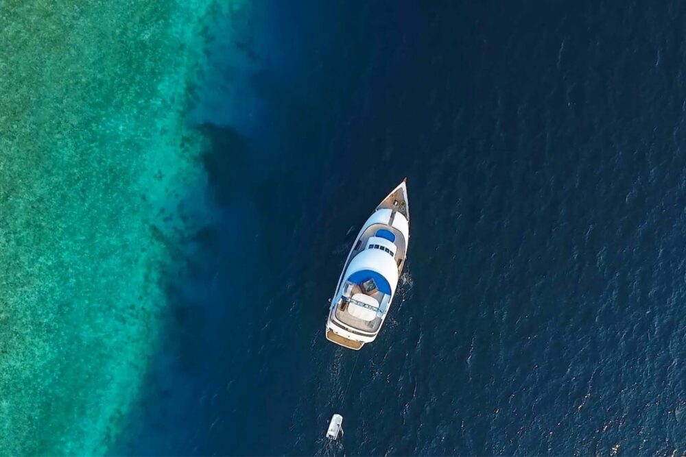 The Best of Maldives Cruise Adventure - Imagen 3