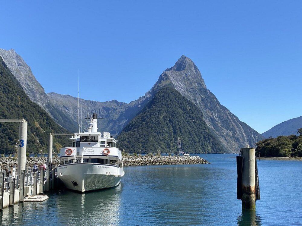 DISCOVER NEW ZEALANDS SECRET SPOTS! - Image 4