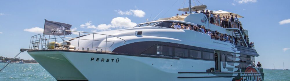 Aukland Luxury Adventure - Image 4