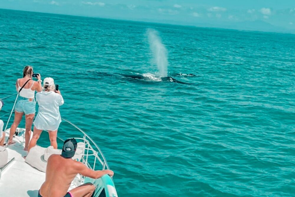 53f private yacht charter, Manuel Antonio, Quepos, Costa Rica - Image 4