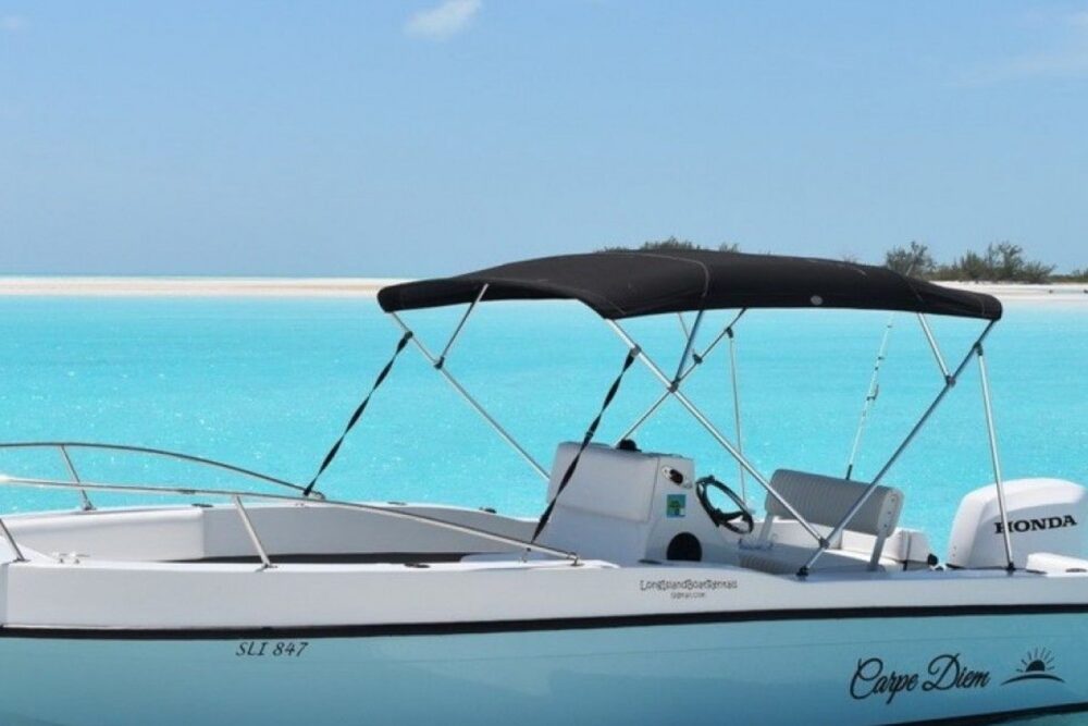 Reef Fishing, Spear Fishing, Pig Tour