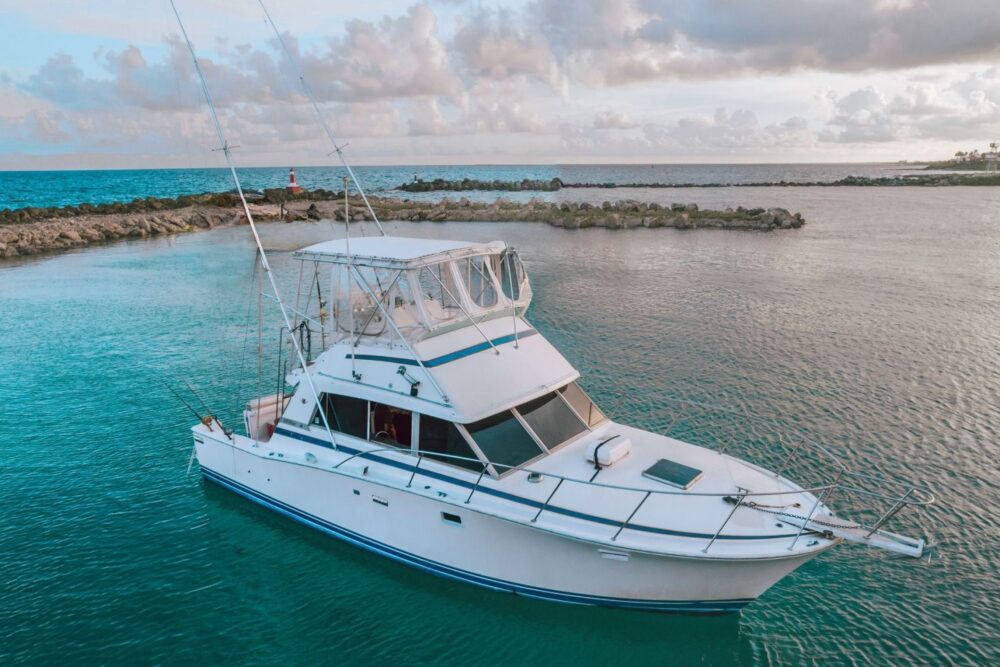 Your fishing adventure starts on a 38’ Bertram offshore sport fishing boat! - Imagen 4