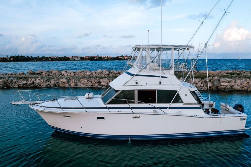 Your fishing adventure starts on a 38’ Bertram offshore sport fishing boat! - Imagen 2