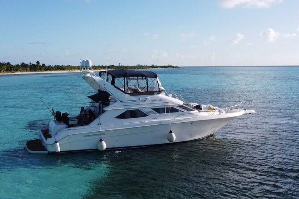 Hop aboard a private 47-foot (14-meter) yacht for this half-day snorkeling tour! - Image 8