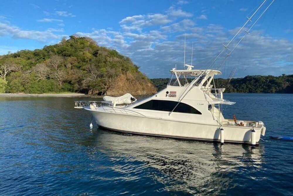 Skip crowded boat tours for this private yacht experience packed with watersport - Imagen 3