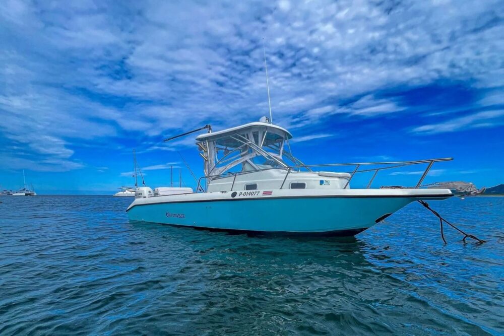 With Blue Runner 1, your fishing adventure is not just a trip – it's a journey! - Imagen 5
