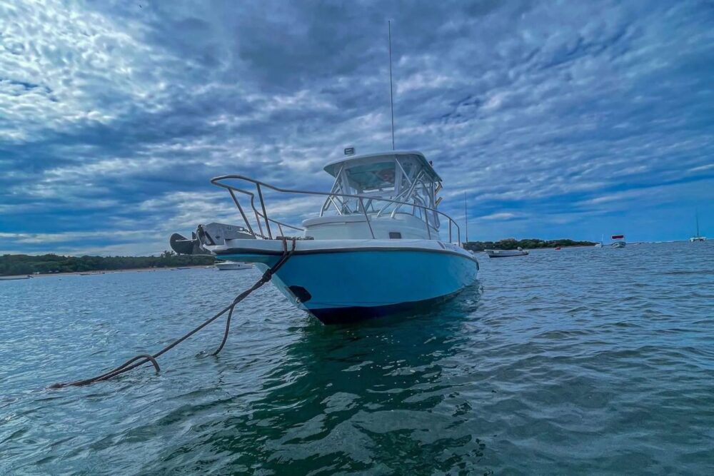 With Blue Runner 1, your fishing adventure is not just a trip – it's a journey! - Imagen 4