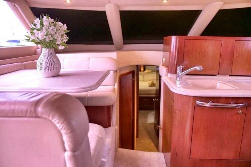 The Cork Trick is a very comfortable yacht, its outdoor spaces are great! - Image 11