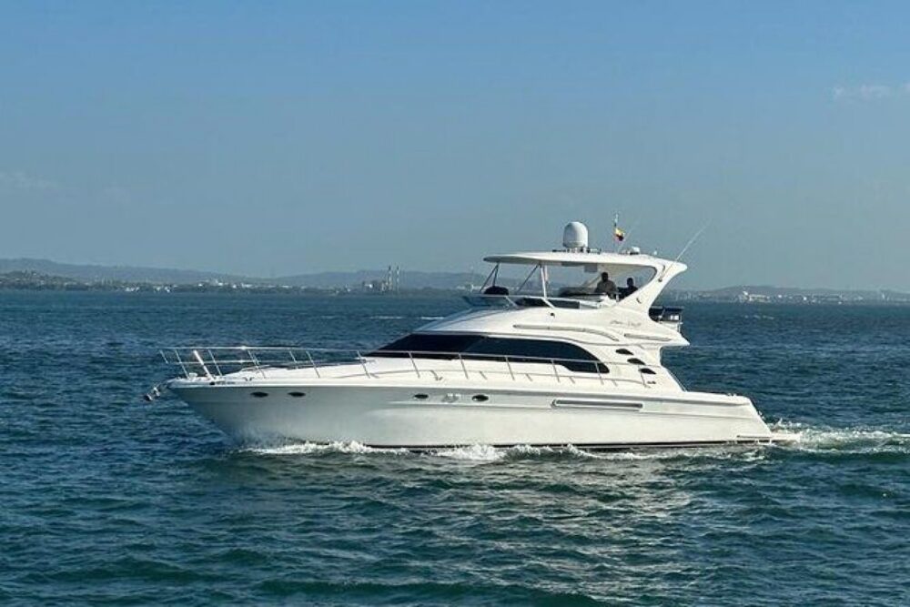 The Cork Trick is a very comfortable yacht, its outdoor spaces are great! - Image 6
