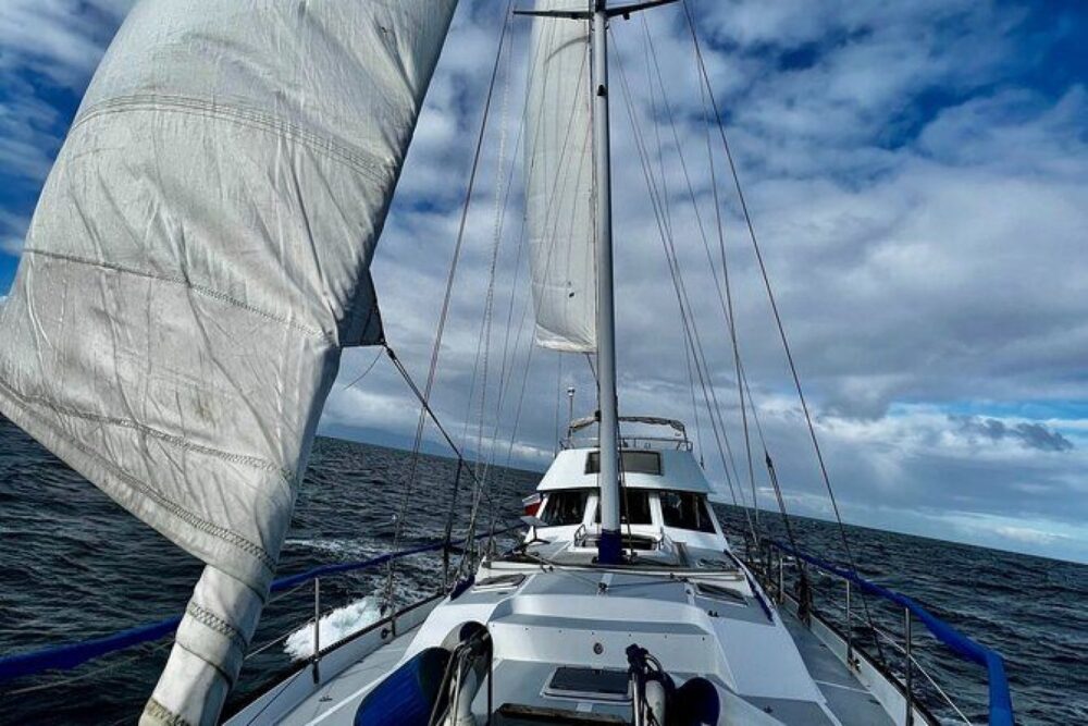Bienvenido a la Patagonia Chilena!, un destino increíble para explorar! - Image 16