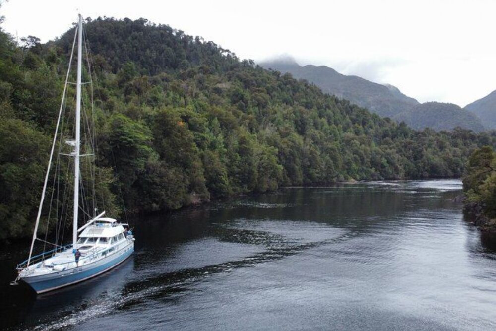 Bienvenido a la Patagonia Chilena!, un destino increíble para explorar! - Image 11