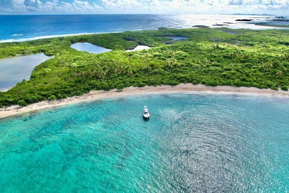 Visit Icacos, Palomino, or Piñeros in an exclusive luxury 36' yacht! - Imagen 7