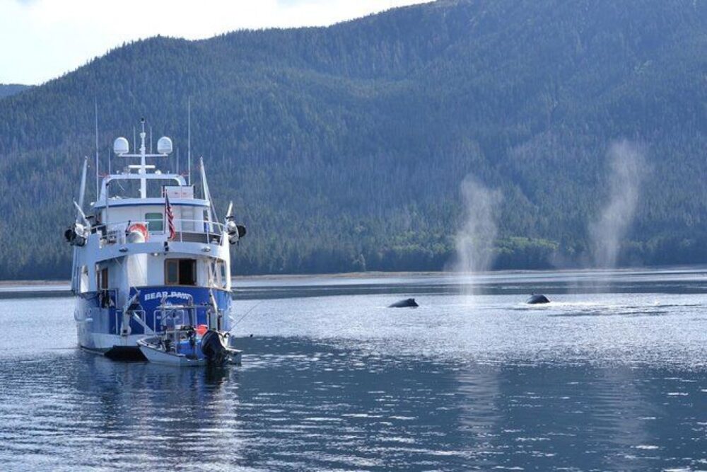 Bear Paw is an amazing luxury yacht to discover the San Juan Islands. - Imagen 12