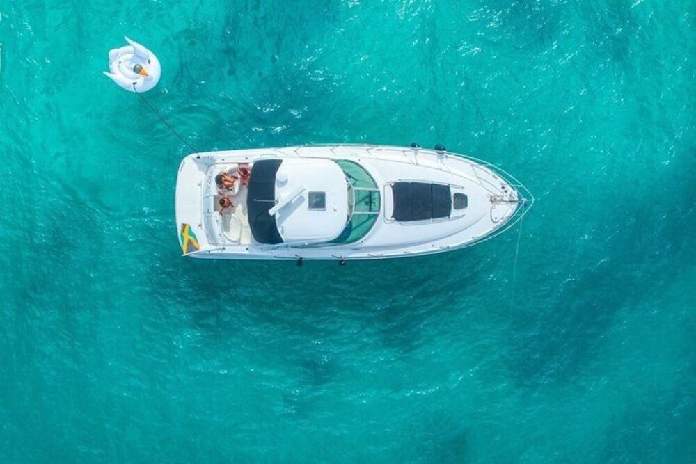 Enjoy a morning out on the water in Montego Bay. - Image 10