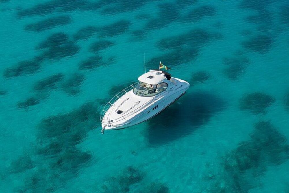 Enjoy a morning out on the water in Montego Bay. - Image 9
