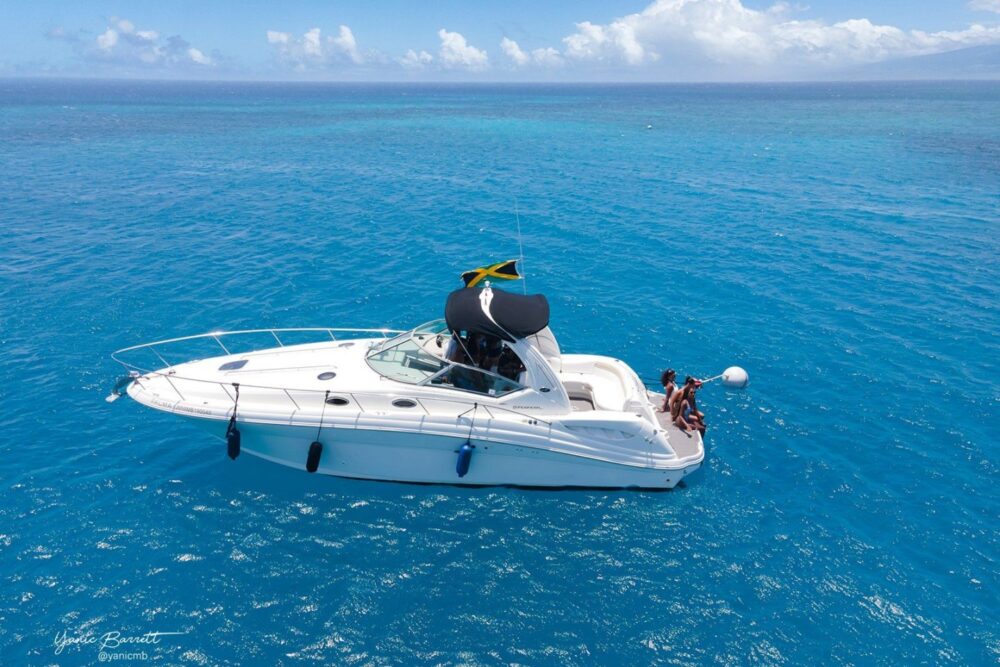 Palma is tailor made for intimate gatherings and smaller groups.
