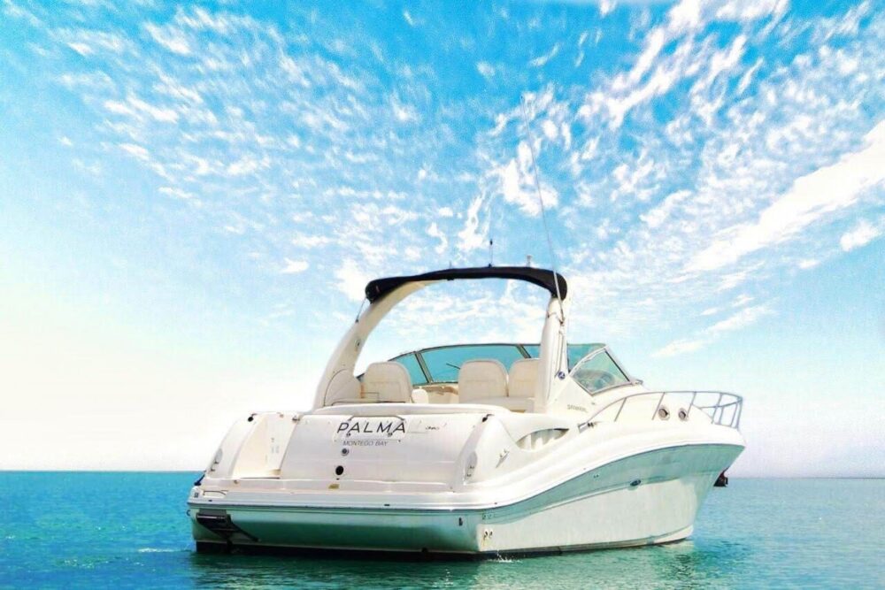 Palma is tailor made for intimate gatherings and smaller groups. - Imagen 10