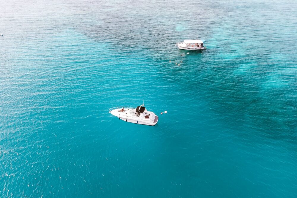 Palma is tailor made for intimate gatherings and smaller groups. - Imagen 6