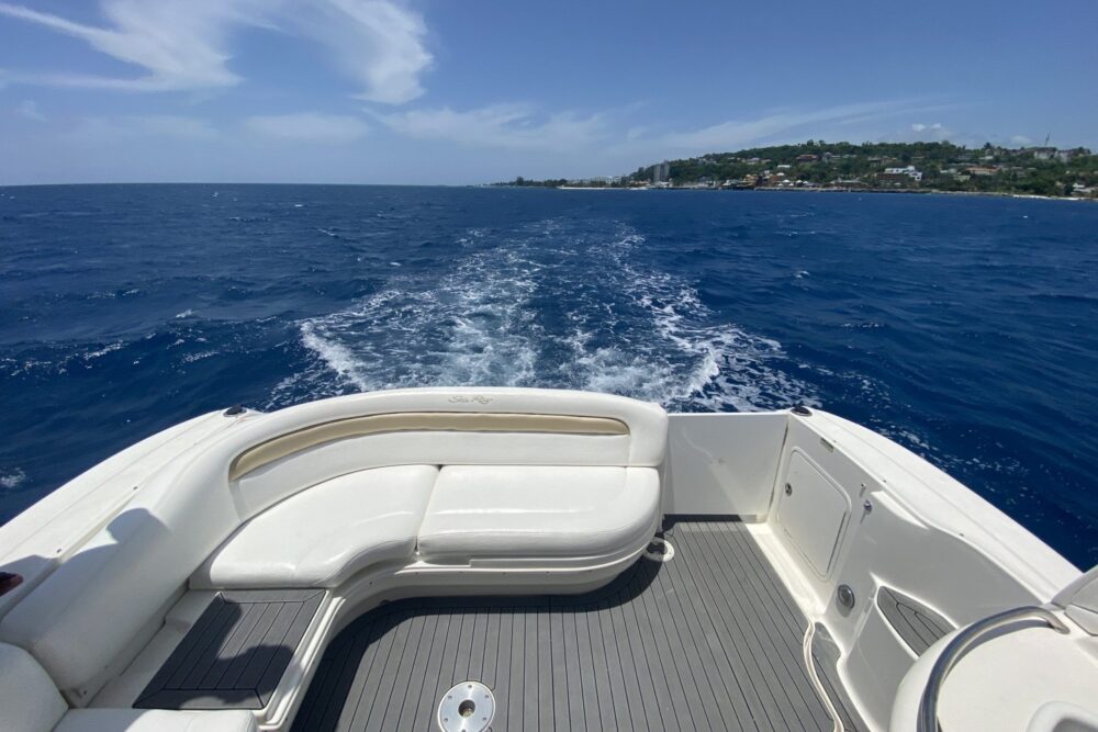 Palma is tailor made for intimate gatherings and smaller groups. - Imagen 3