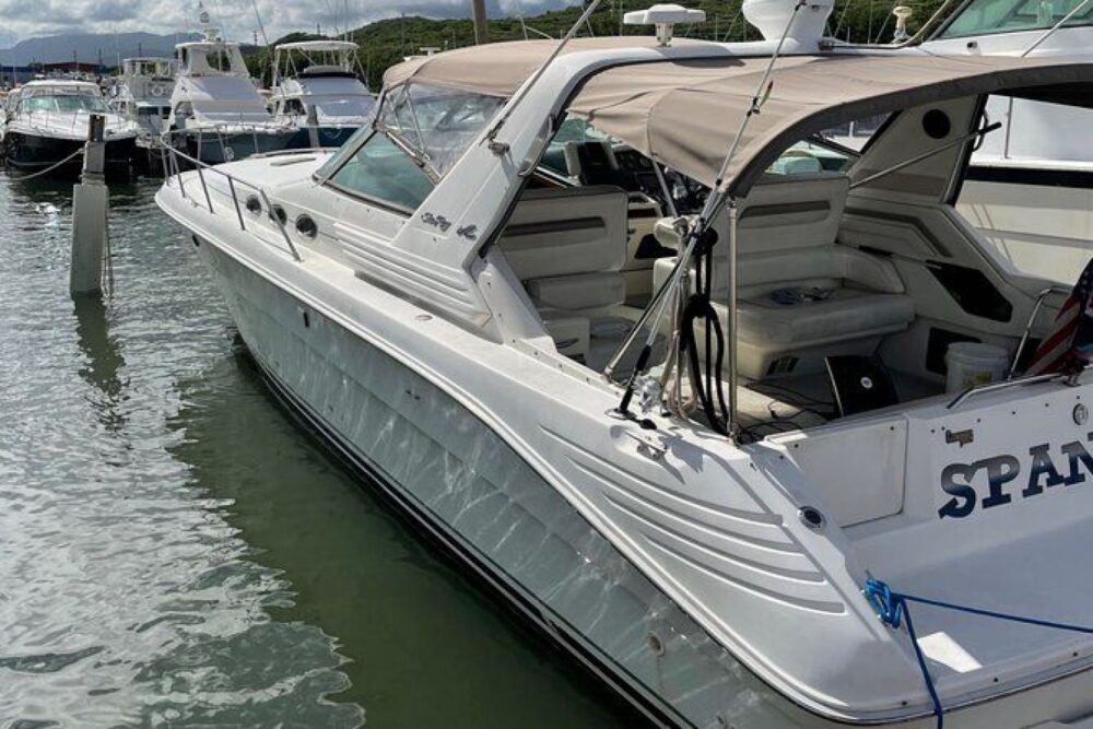 We will cruise privately to the island with best conditions. - Imagen 3