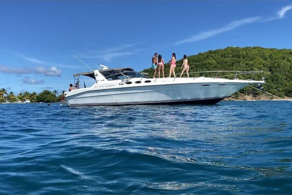 We will cruise privately to the island with best conditions.