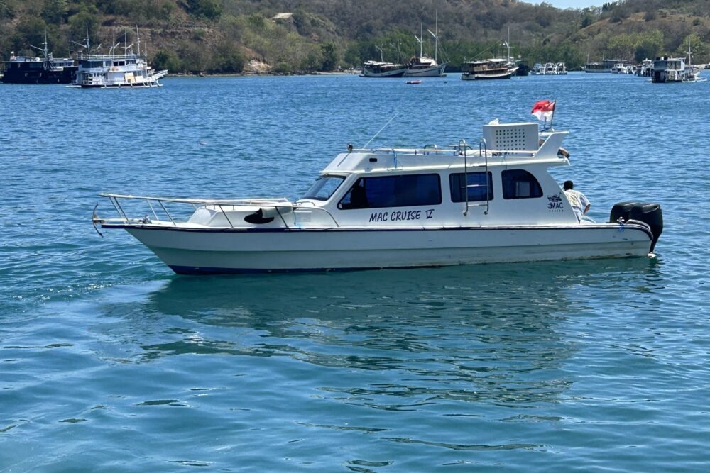 Full Day Sharing Trip Komodo - Image 6