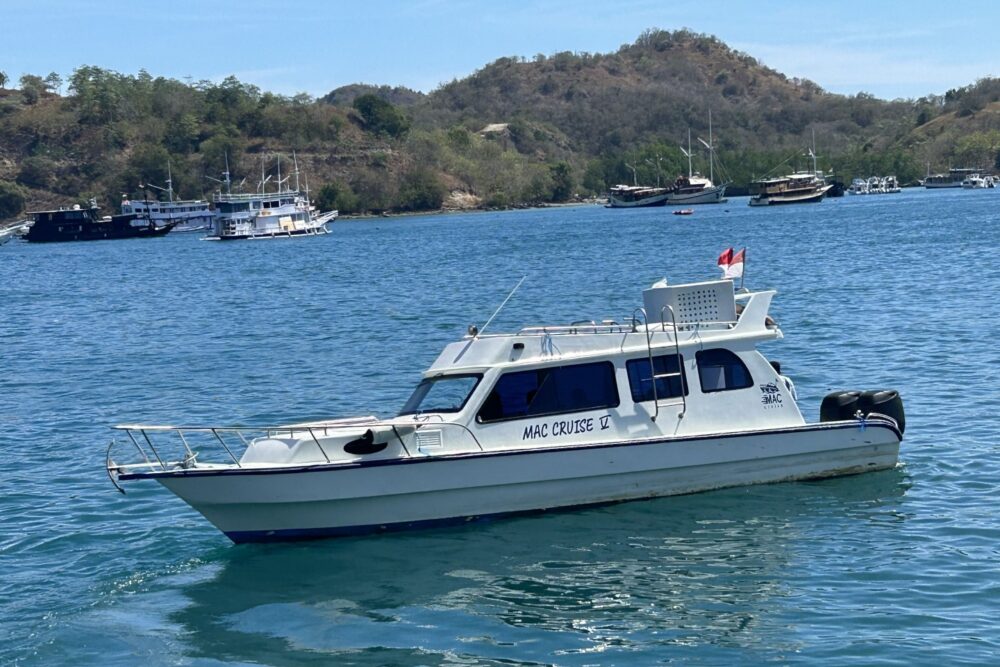 Full Day Sharing Trip Komodo - Image 5