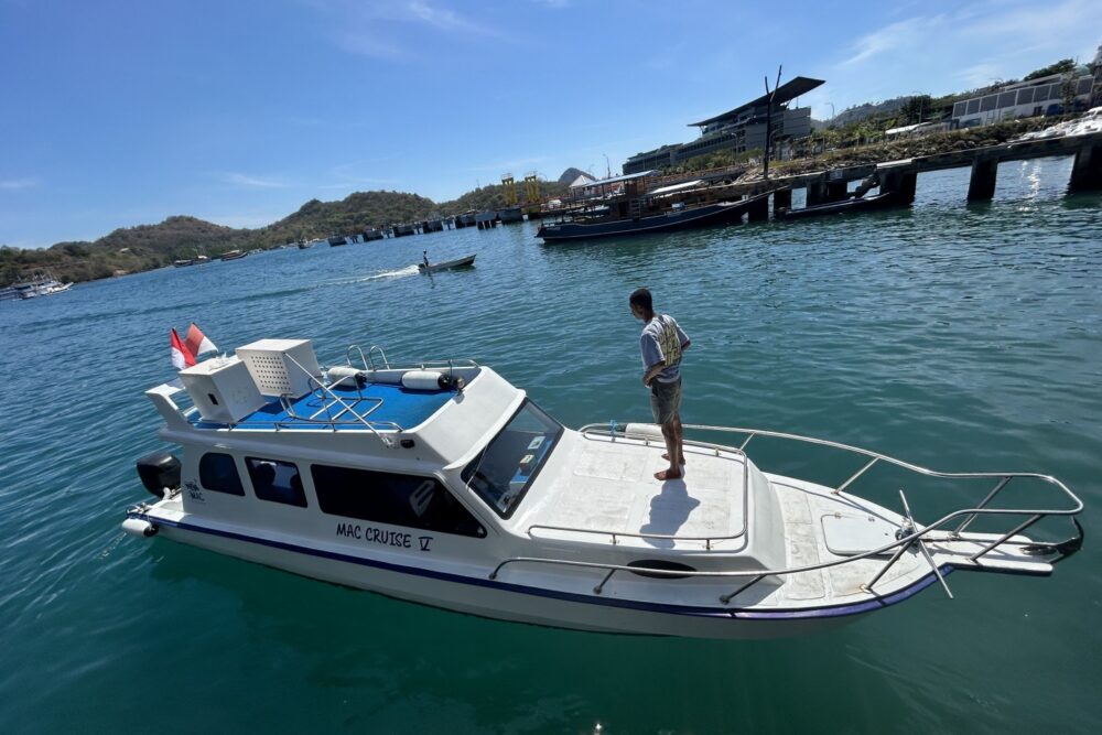 Full Day Sharing Trip Komodo - Image 4