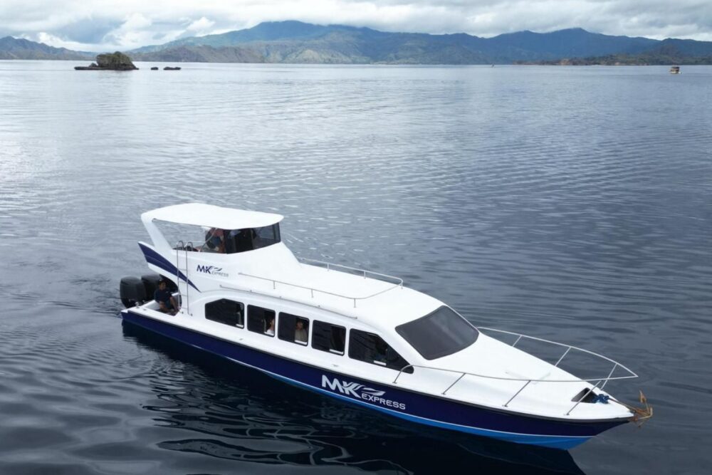 Full Day Sharing Trip Komodo - Image 3