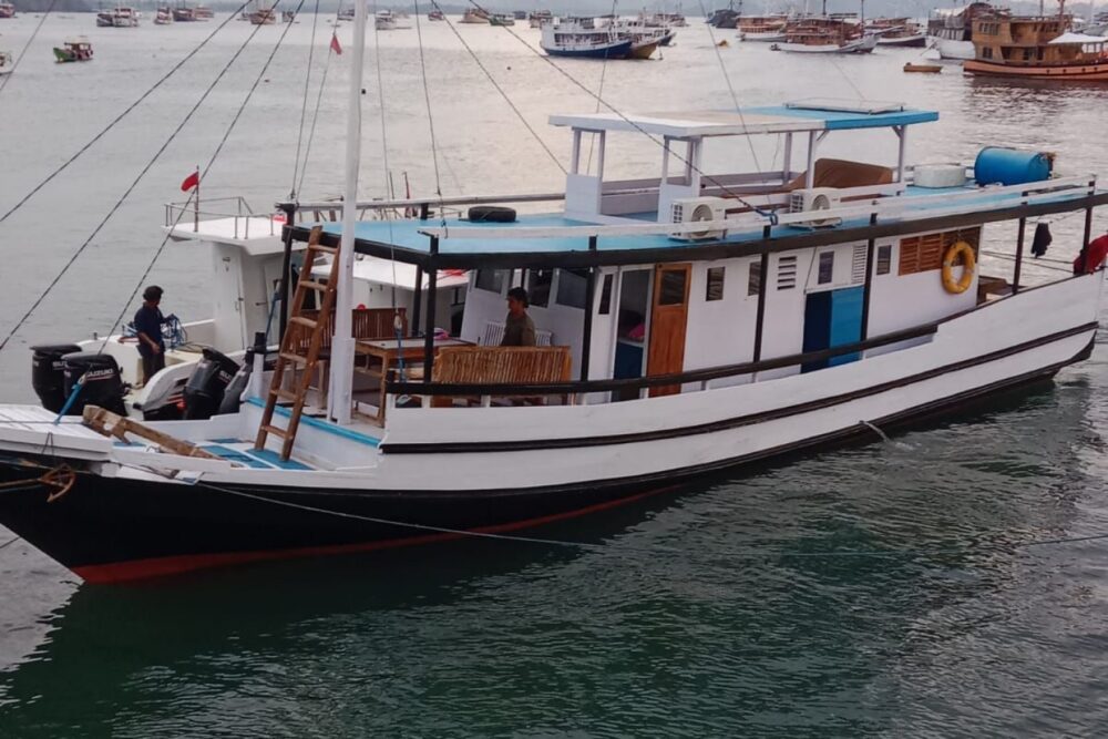 Komodo Boat Charter - Image 5