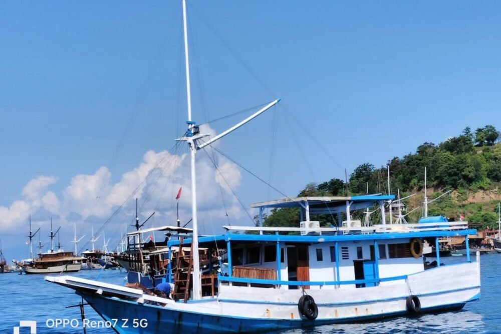 Komodo Boat Charter - Image 4