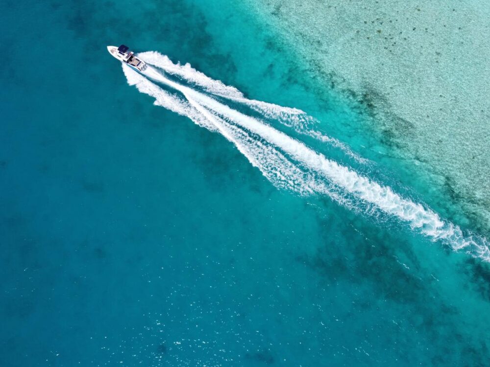 Private Speed Boat Tours in the Maldives - Luxury Island-Hopping Experience - Image 3