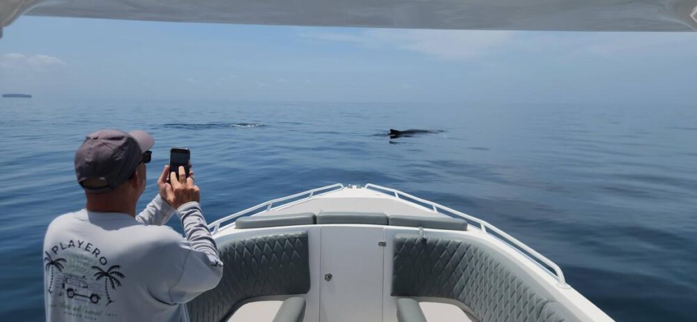 Todomar 38' Boat Fishing Charter in Panama City - Private Tours for 15 Passengers - Image 19