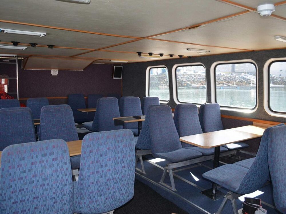 A Versatile Adventure Vessel for Sea Angling & Wildlife Tours - Imagen 2
