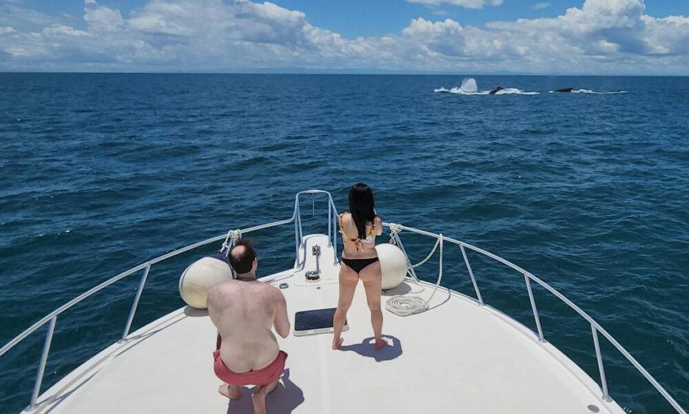 Yacht rental of Viking 46' in Panama City, Panama - Image 14