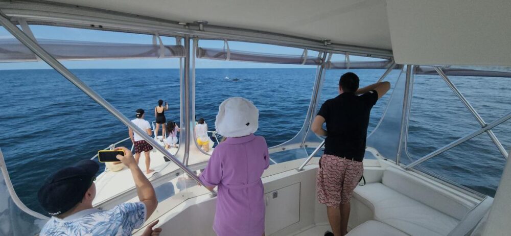 Yacht rental of Viking 46' in Panama City, Panama - Image 10