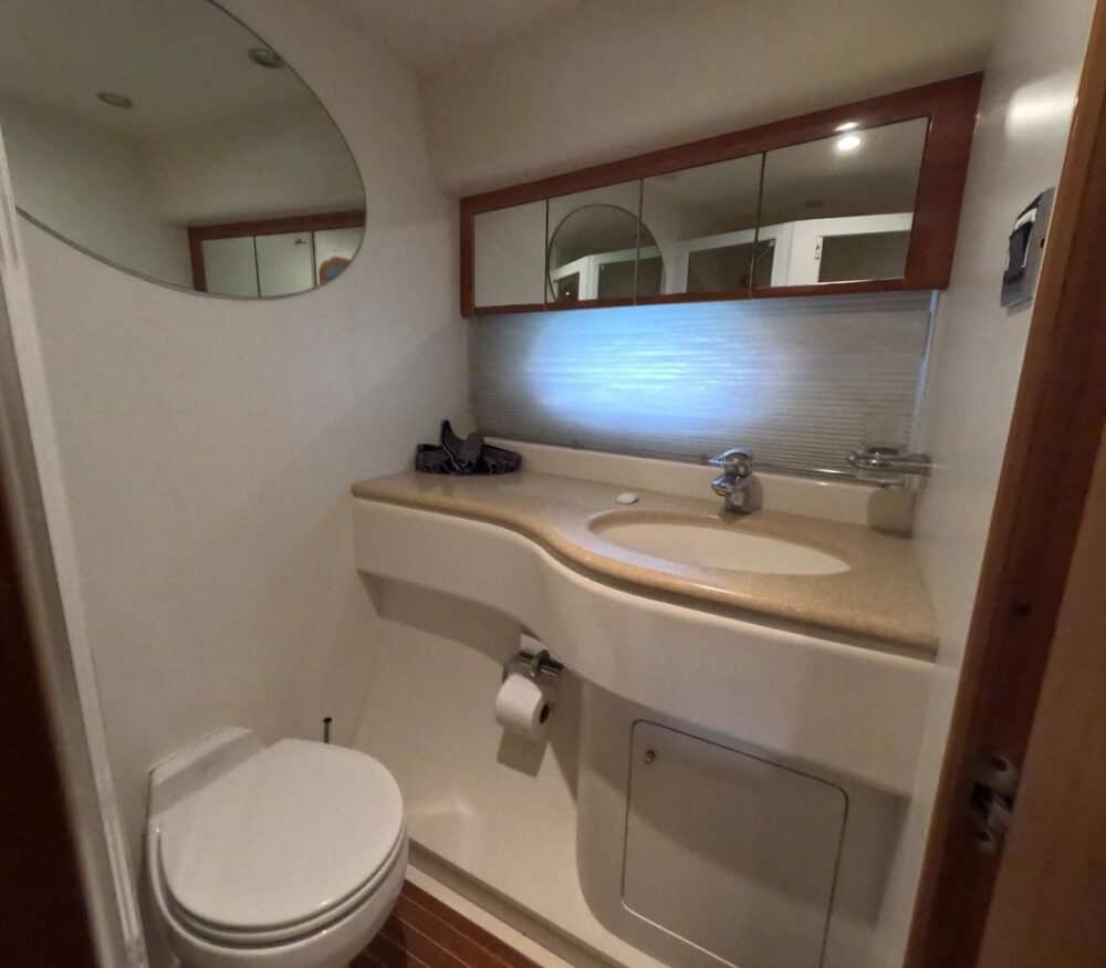 Enjoy 68' Viking Princess !! - Image 10