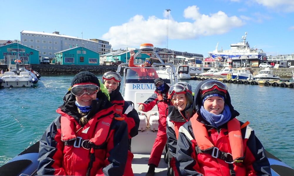 Unforgettable Whale & Puffin Watching Tours in Reykjavik Harbor, Iceland - Image 3
