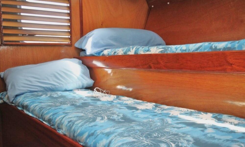 Luxury 46' Monohull Sailing Charters in Fiji - Day Trips & Overnight Adventures - Image 11