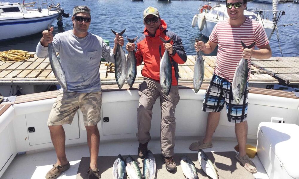 39' Chris-Craft Commander Fishing Charter in Antofagasta - Imagen 4