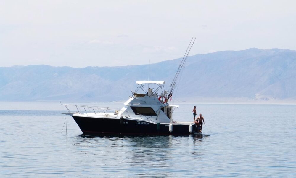 Charter the 39' Chris-Craft Commander 360 Yacht in Antofagasta - Image 5