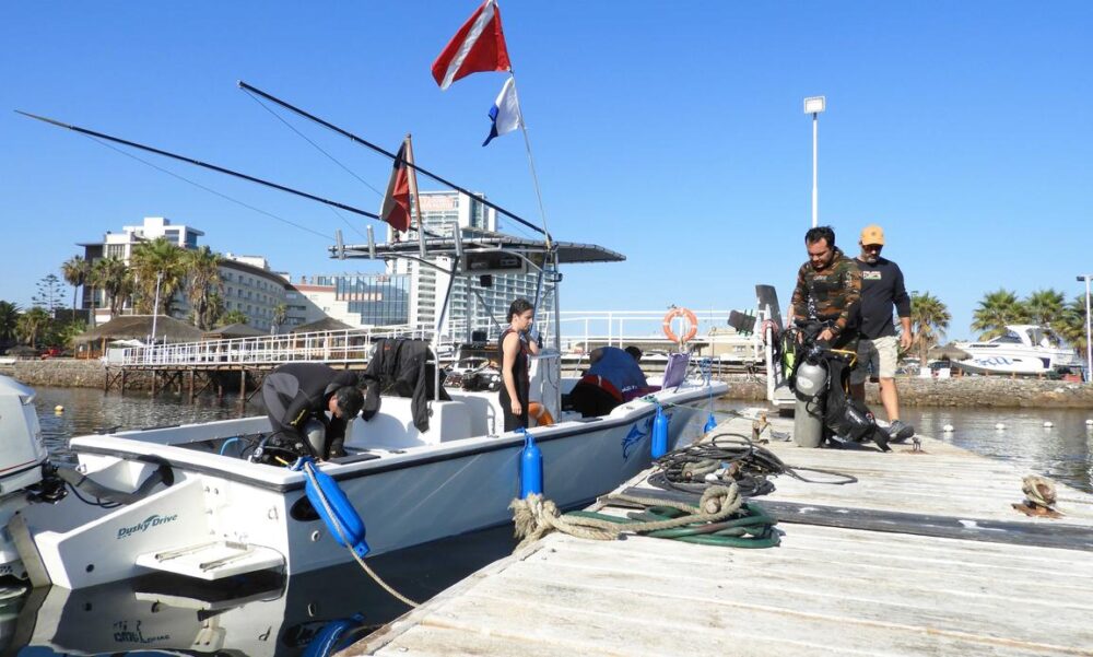 Private Boat Tour in Antofagasta Coast onboard the Dusky 265 Center Console - Imagen 3
