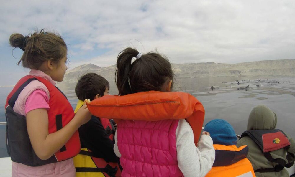 Private Boat Tour in Antofagasta Coast onboard the Dusky 265 Center Console - Imagen 2