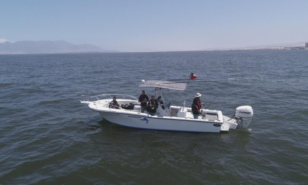 Private Boat Tour in Antofagasta Coast onboard the Dusky 265 Center Console - Imagen 4