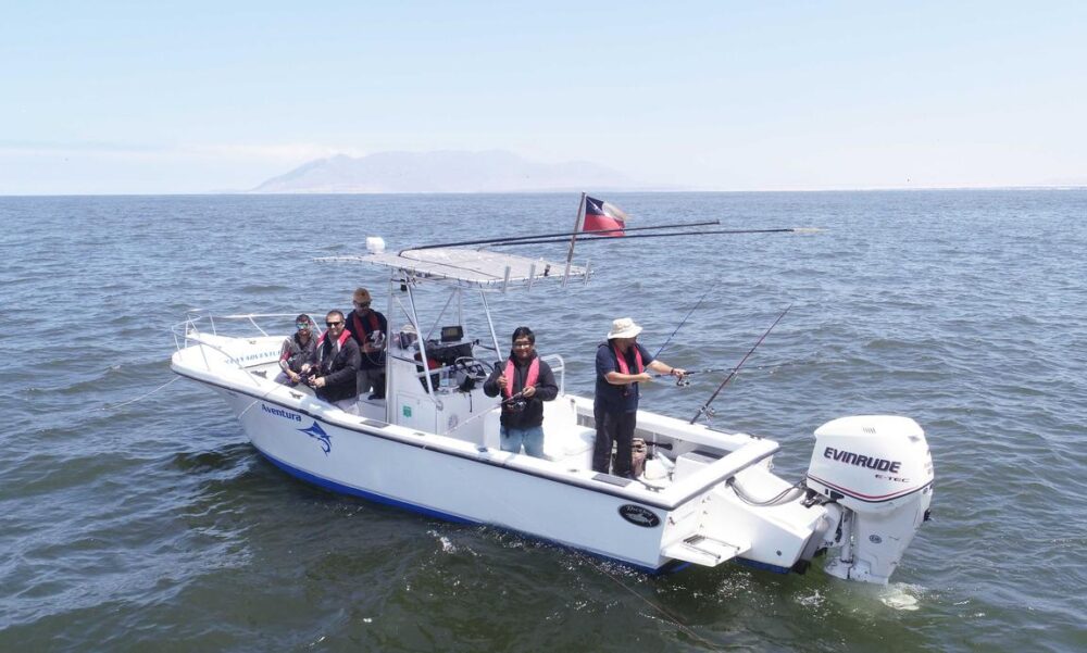 Private Boat Tour in Antofagasta Coast onboard the Dusky 265 Center Console - Imagen 5