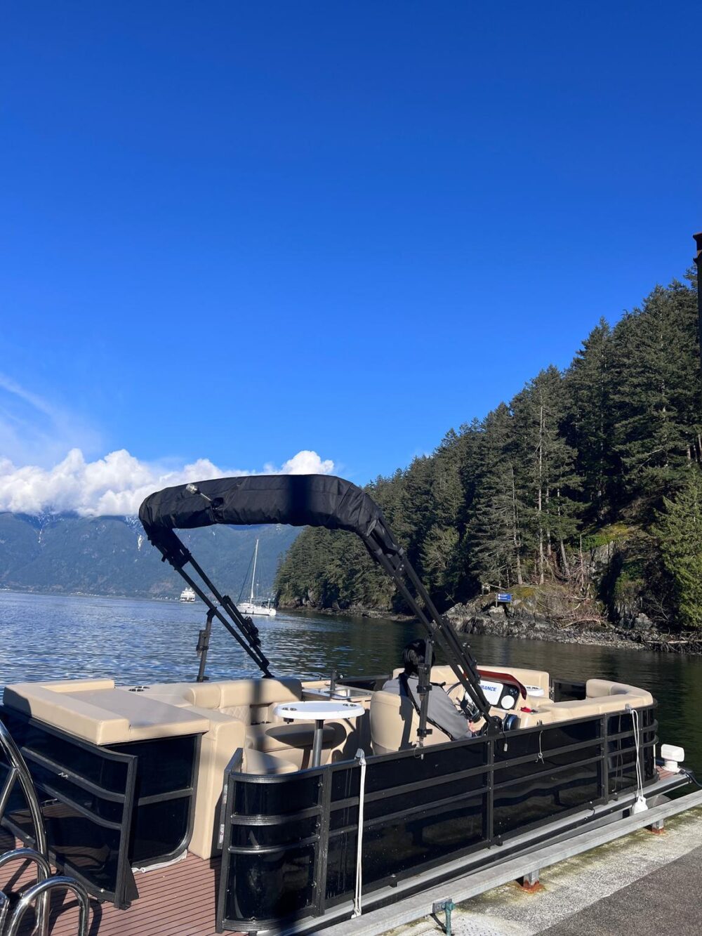Vancouver Party Boat: BBQ Pontoon Experience in Downtown Harbor - Imagen 16